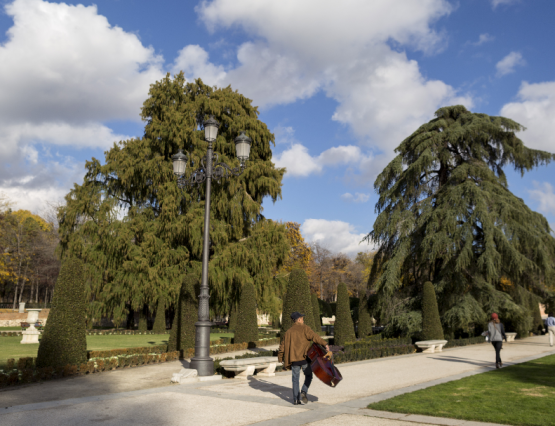 Visitas guiadas por el Retiro