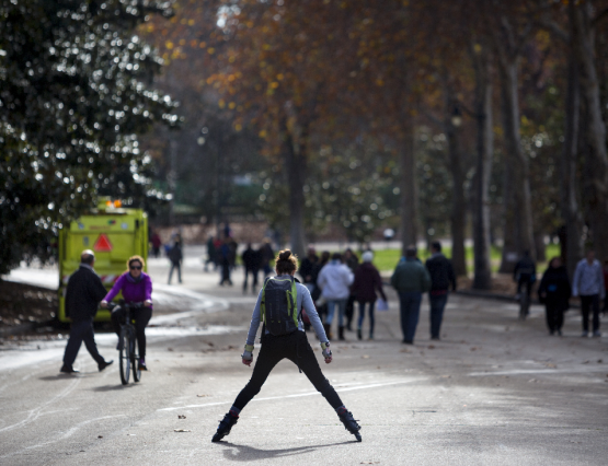 Visitas guiadas al Retiro en invierno