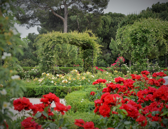 La Rosaleda del Retiro