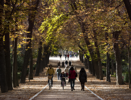 Visitas guiadas al Retiro en otoño