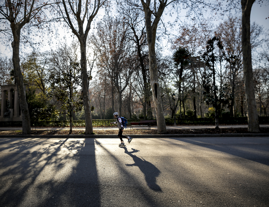 Visitas guiadas al Retiro en invierno